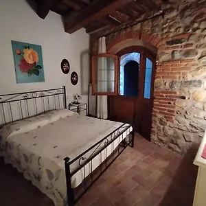 Gavorrano - Indipendente Ravi